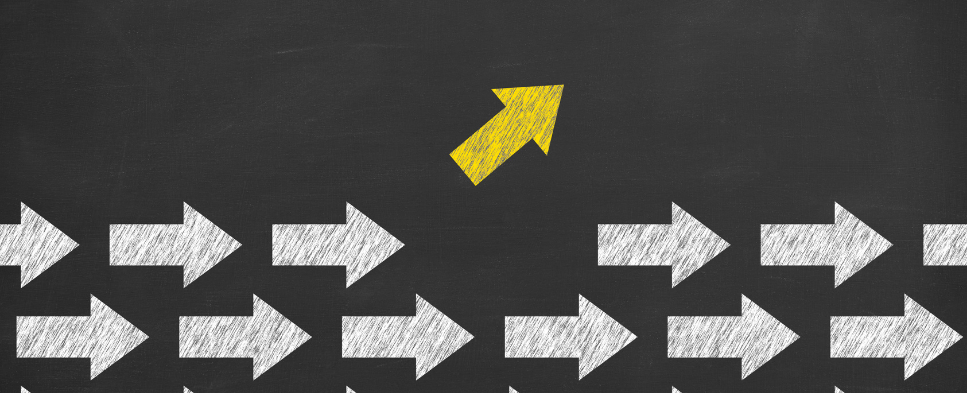 Pathways to Change: Learning from the Community Integration Support Program