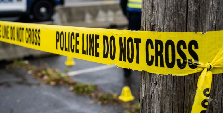 Suicidality Among Domestic Terrorists