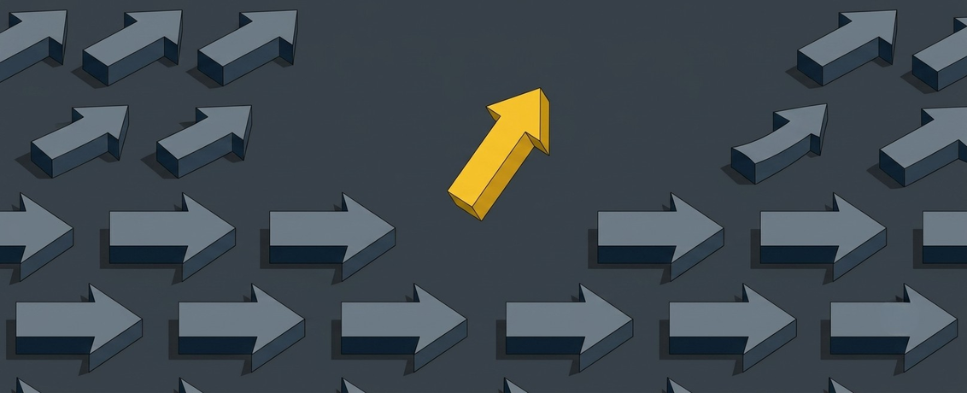 Pathways to Change: Learning from the Community Integration Support Program